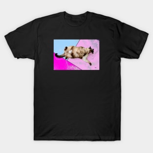 Siamese cat / Swiss Artwork Photography T-Shirt